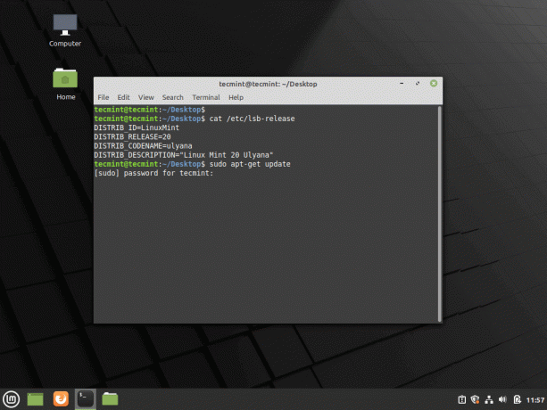Обновите Linux Mint