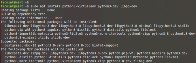 Установить виртуальную среду Python