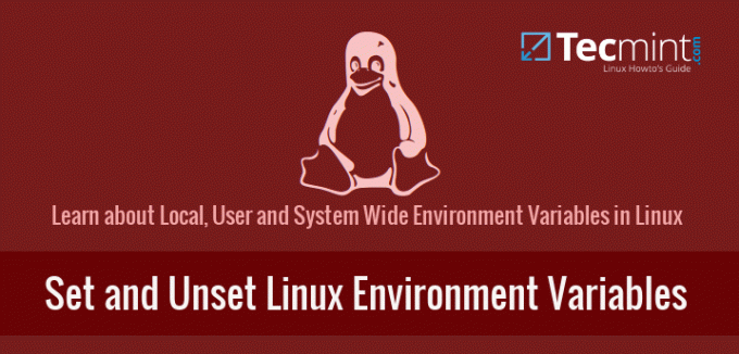 Установка и отключение переменных среды Linux