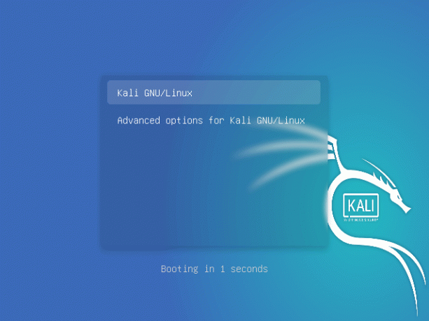 Загрузка Kali Linux