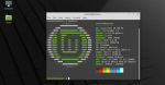 Kaip įdiegti „Linux Mint 20“ „Ulyana“