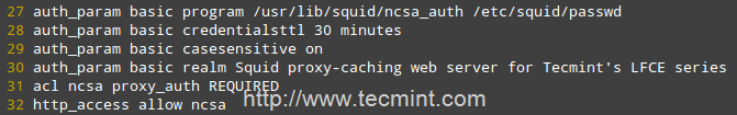 Проверка подлинности Squid NCSA