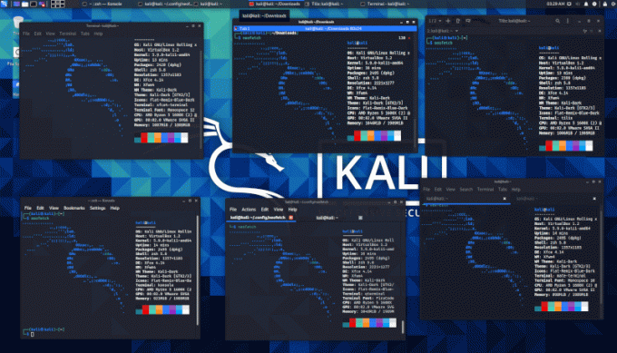 Терминалы Kali Linux
