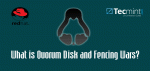 Τι είναι το QUORUM Disk and a Fencing Wars;