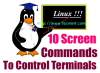 10 примеров экранных команд для управления терминалами Linux