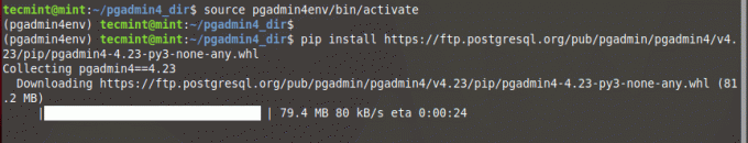 Установите PgAdmin4 в Linux Mint