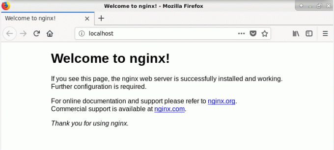 Проверьте страницу Nginx в Debian 10