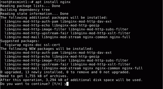 Установите Nginx на Debian 10
