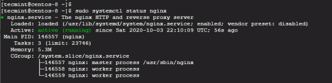 Проверете състоянието на Nginx