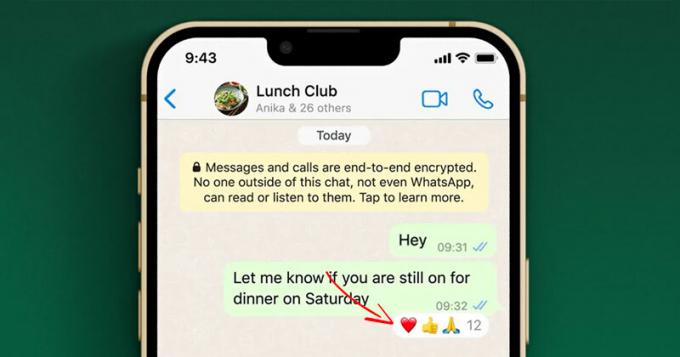 Hoe de berichtreacties op WhatsApp te gebruiken