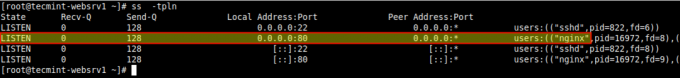 Перевірте TCP -порт Nginx