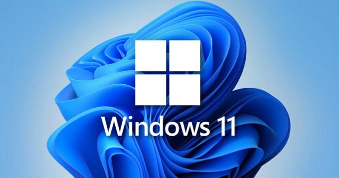 Kā vienmēr rādīt ritjoslas operētājsistēmā Windows 11