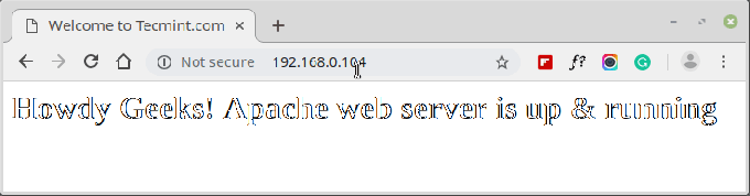 Controleer de Apache-website