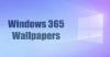Baixe os papéis de parede do Windows 365 (resolução Full HD 4K)