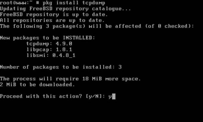 Instalați pachetul în FreeBSD