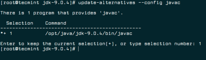 Actualizați alternativele Javac