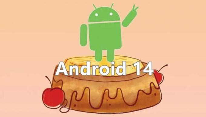Google ha rivelato il nome in codice di Android 14