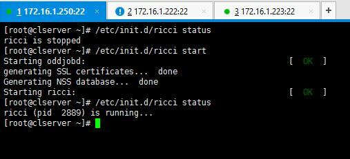 Запустить Ricci Service на кластерном сервере