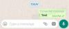 WhatsApp inizia a etichettare i messaggi inoltrati