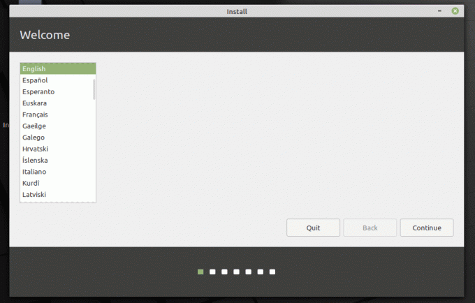Выберите язык установки Linux Mint 20