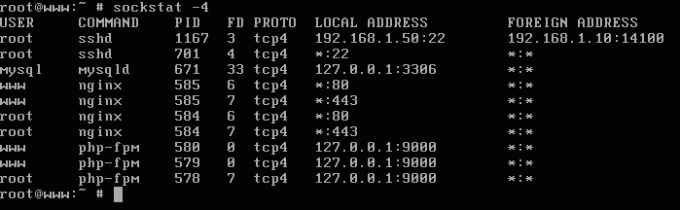 Lista de puertos abiertos IPv4 en FreeBSD