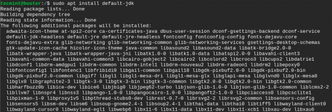 Instalirajte OpenJDK na Debian 10