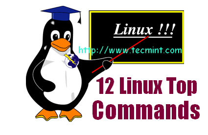 Exemplos de principais comandos do Linux