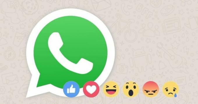WhatsApp представит реакцию на сообщения в стиле iMessage для iOS и Android