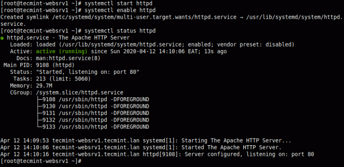 Verifikasi Status Server Web Apache