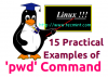 15 „pwd“ (spausdinimo darbo katalogas) komandų pavyzdžiai „Linux“