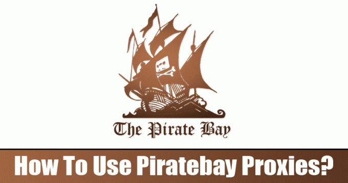 Come utilizzare i proxy Piratebay?