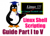 Imparare il linguaggio di scripting della shell: una guida dai principianti all'amministratore di sistema
