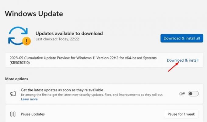 Windows 11 versie 22H2 (KB5030310)