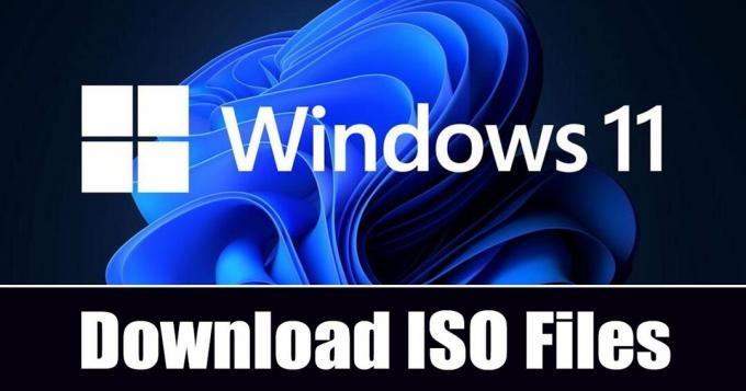 विंडोज 11 आईएसओ फाइल डाउनलोड करने के लिए यूयूपी डंप का उपयोग करें