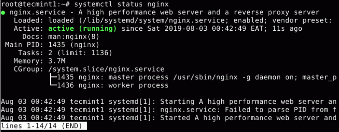 Проверить статус Nginx