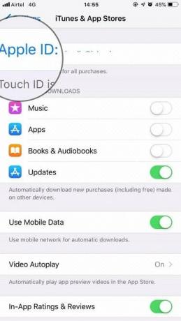 angezeigte Apple ID auf dem iPhone - Tweaklibrary