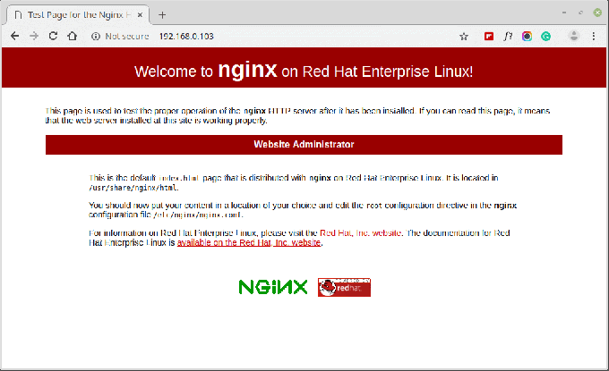 Verificar la página web de Nginx