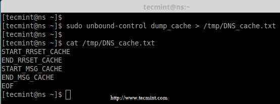 Backup DNS -cache