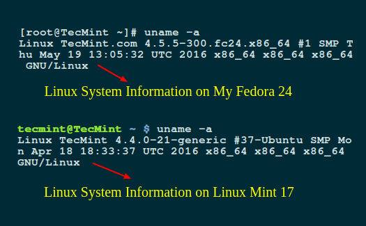 Rodo „Linux“ sistemos informaciją