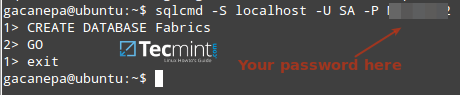 Creați o bază de date MSSQL pe Linux
