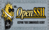 Cara Menginstal dan Mengkonfigurasi Server OpenSSH Di Linux