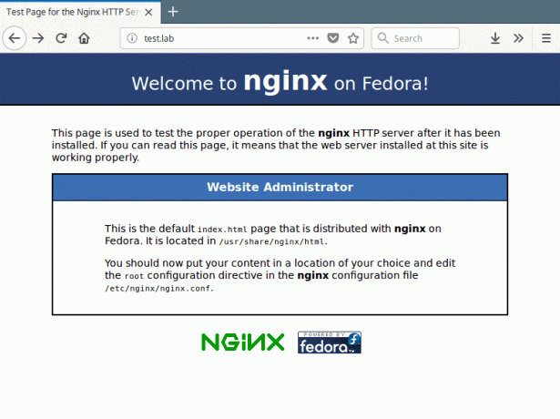 Pagina implicită Nginx