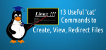 लिनक्स में 13 बेसिक कैट कमांड उदाहरण