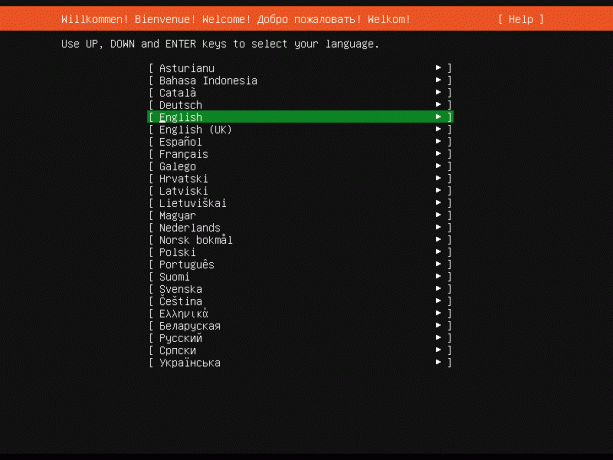 Limba serverului Ubuntu