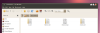 Ubuntu 10.04 "kerged" teemad on avaldatud [allalaadimine]