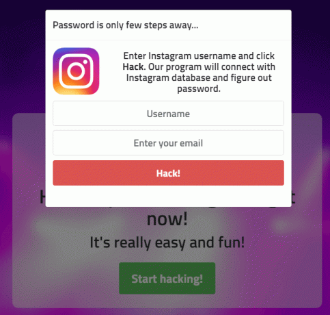 IG Hack - интернет-поиск паролей в Instagram