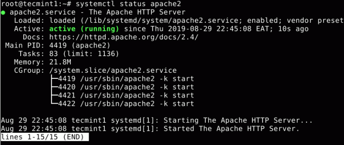 Periksa Status Apache di Debian