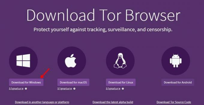 descărcați cea mai recentă versiune a Tor Browser