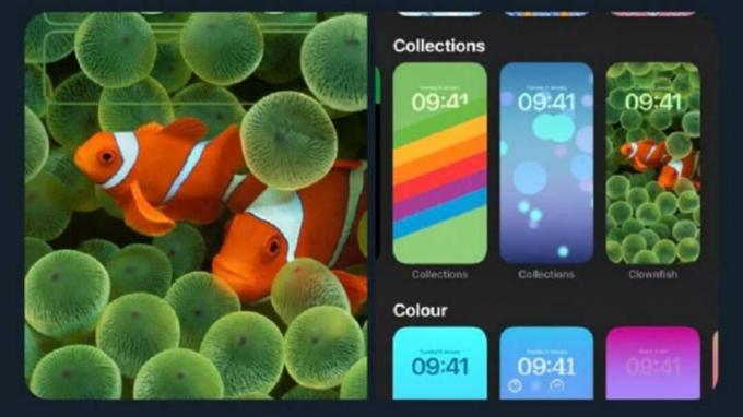 iOS 16 a primit un nou tapet de pește clovn 