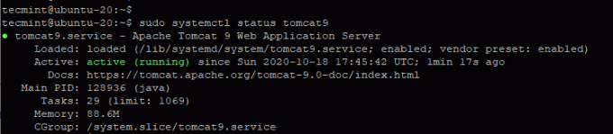 Controleer de Tomcat-status